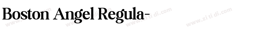 Boston Angel Regula字体转换